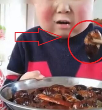 un niño chino comiendo escarabajos