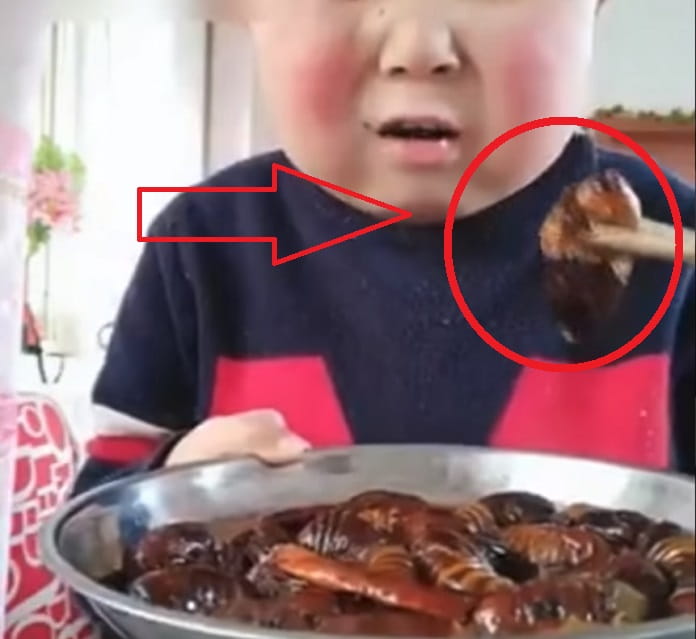 un niño chino comiendo escarabajos